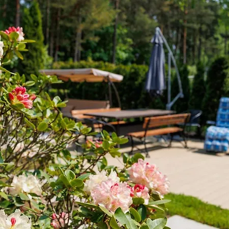 Domek Letniskowy 84-217 Ul. Zielona 2 * Kamień